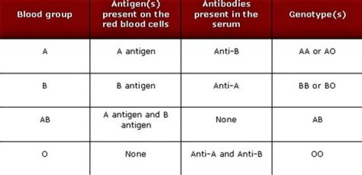 What blood type has the most antibodies?