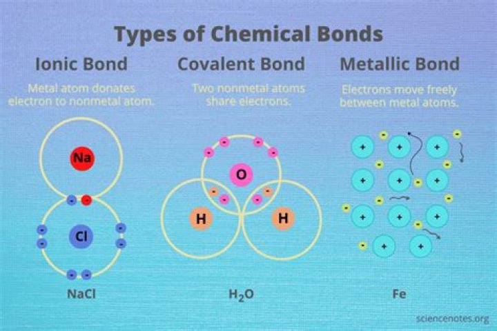 What do covalent and metallic bonds have in common?