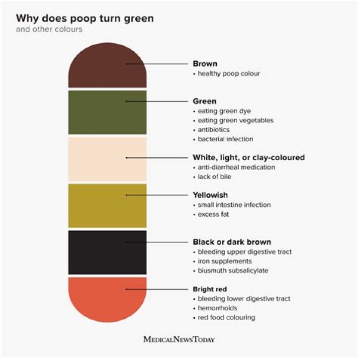 What does green is the new black mean?