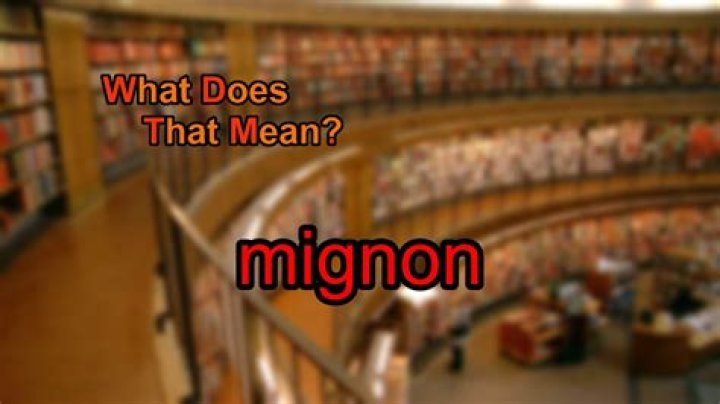 What does mignon mean? | ContextResponse.com