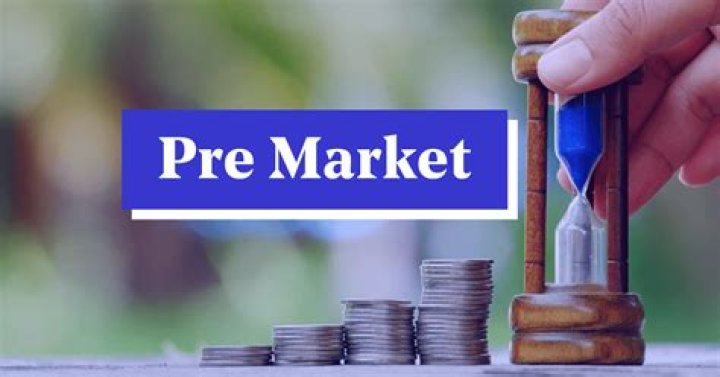 What does pre market stock price mean?