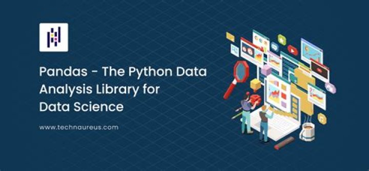 What does Python pandas stand for?