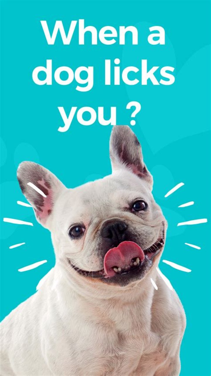 What does Simply because we were licked?