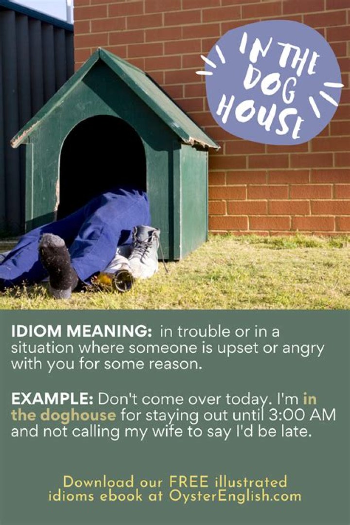 What does the idiom in the doghouse mean?