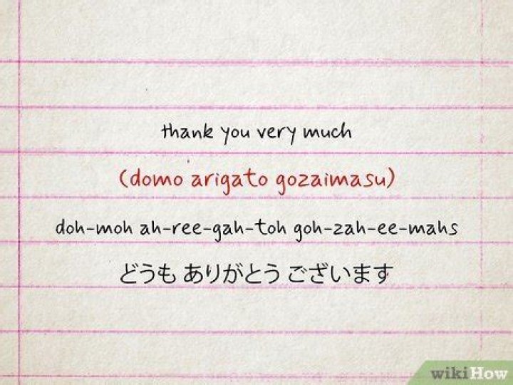 What does the Japanese phrase Domo arigato mean in English?