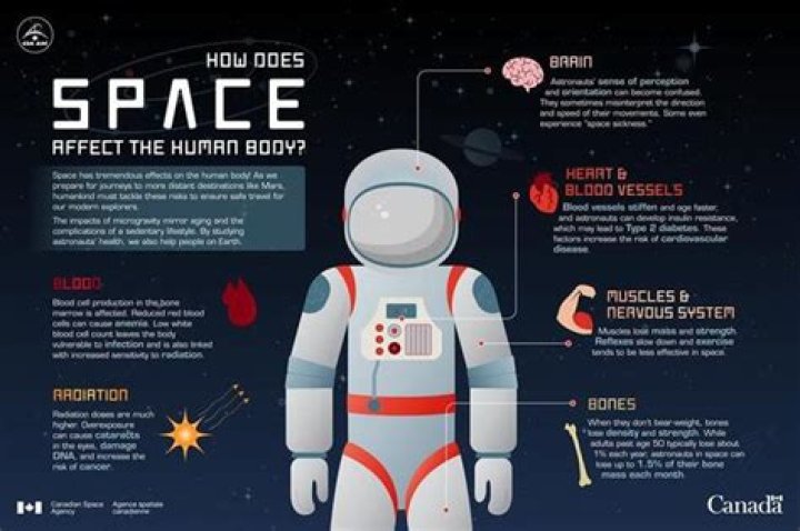 What effects does flying have on human physiology?