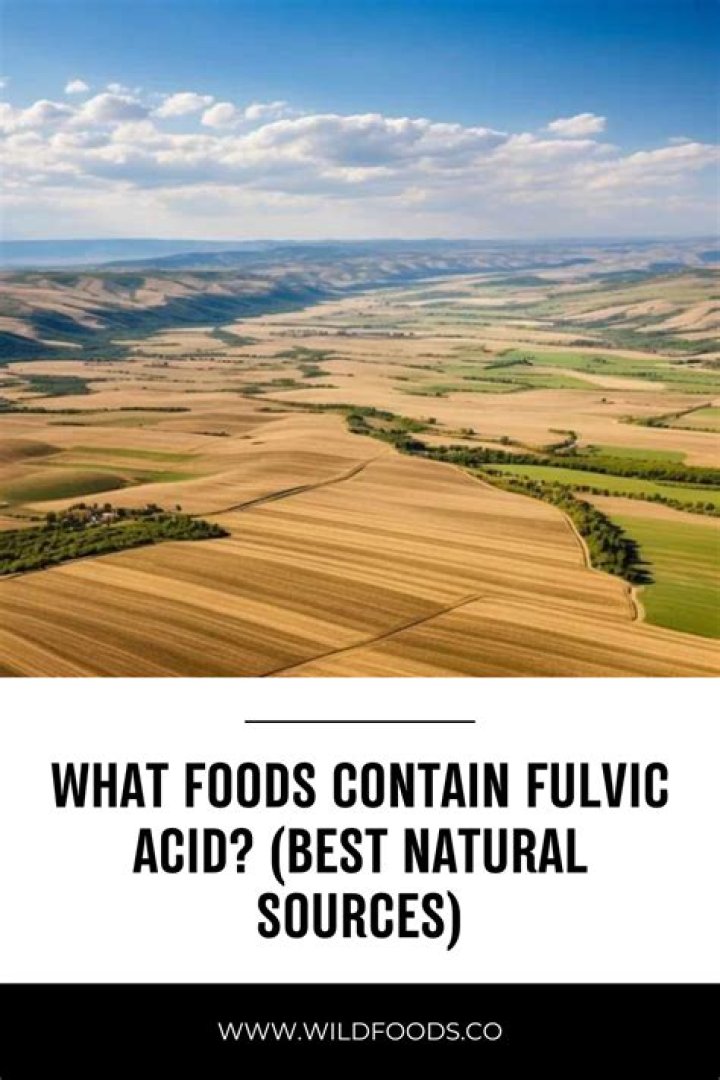What foods contain fulvic acid?
