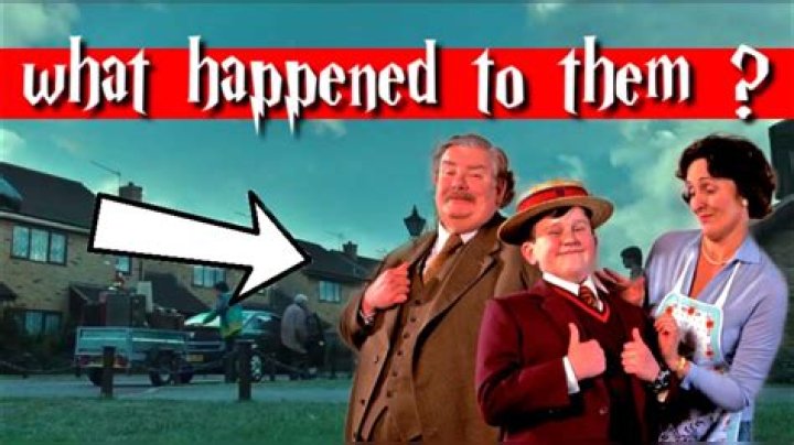 What happened to the Dursleys in Harry Potter?