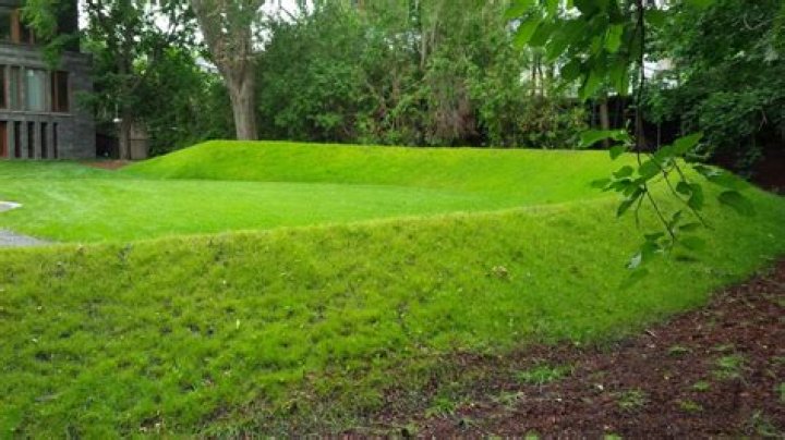 What is a berm in landscaping?
