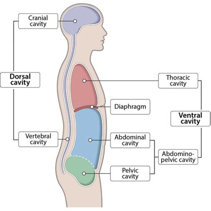 What is a cavity in the ground?