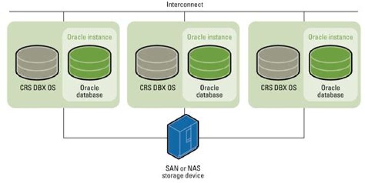 What is a cluster in Oracle database?