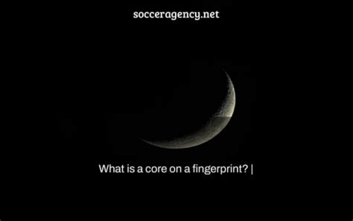 What is a core on a fingerprint?