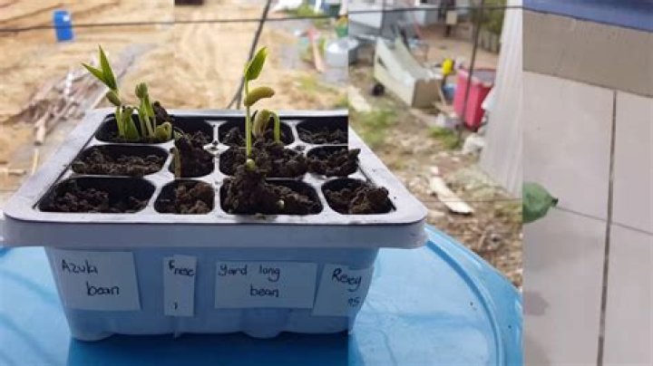 What is a Seedbox and how does it work?
