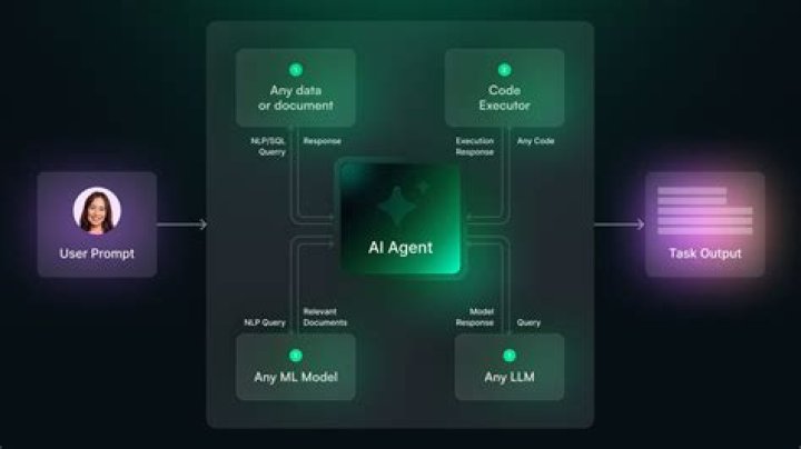 What is a social agent?