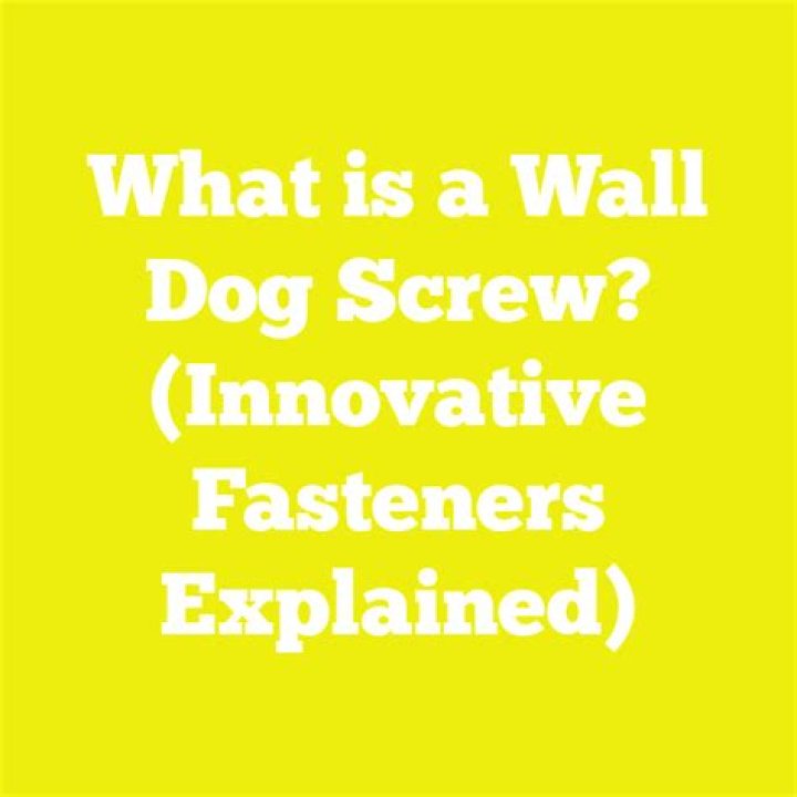 What is a wall dog screw?