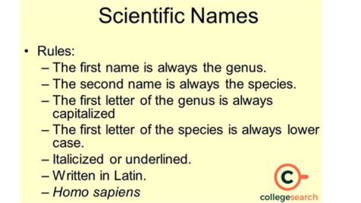 What is an example of a scientific fact?