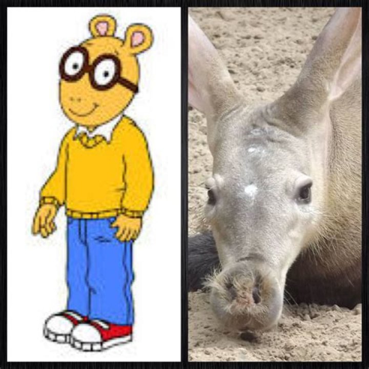 What is Arthur animal?