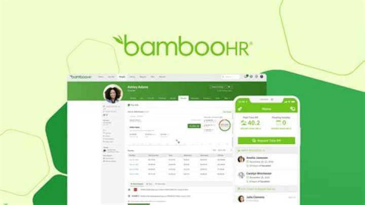 What is Bamboo application? | ContextResponse.com