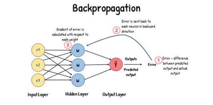 What is error back propagation algorithm?