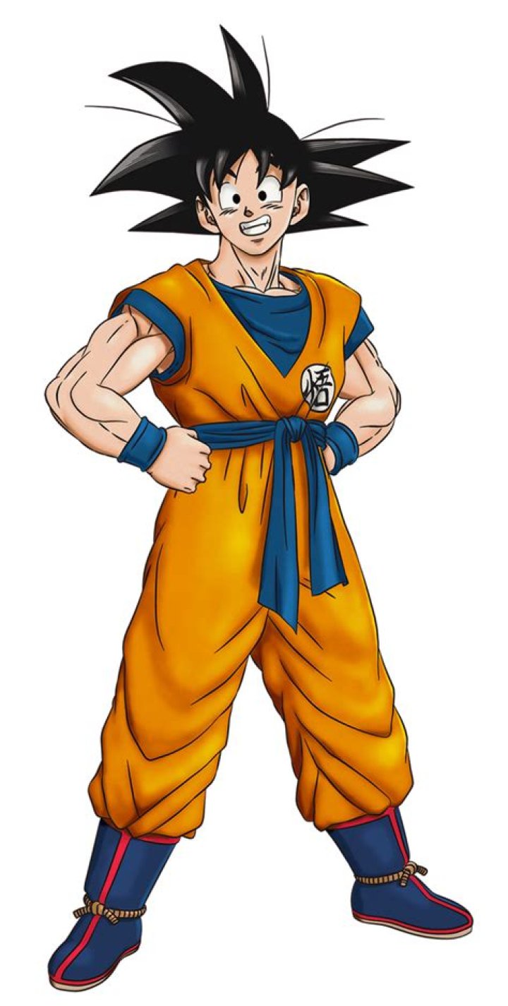 What is Goku's son's name?