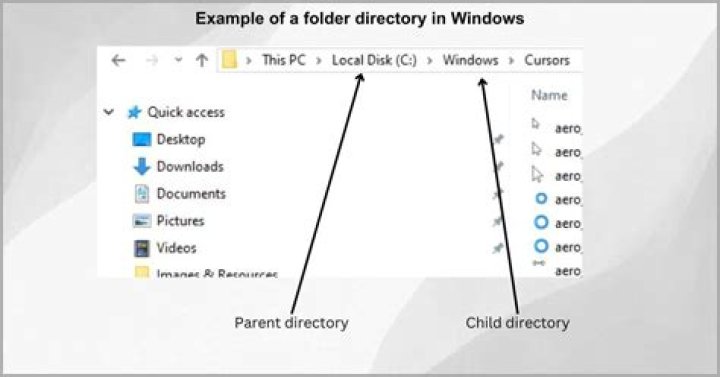 What is local directory in Windows?