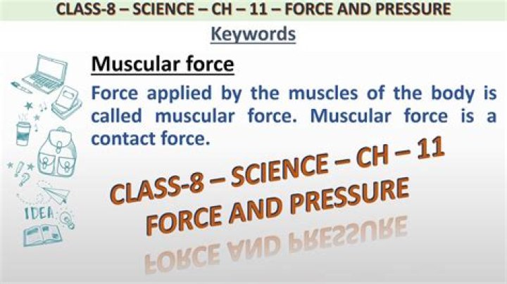 What is muscular force Class 8?