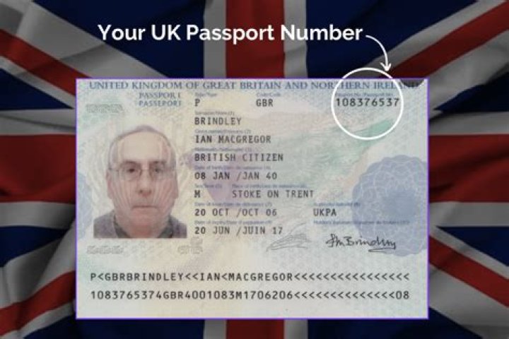 What is passport reference number UK?