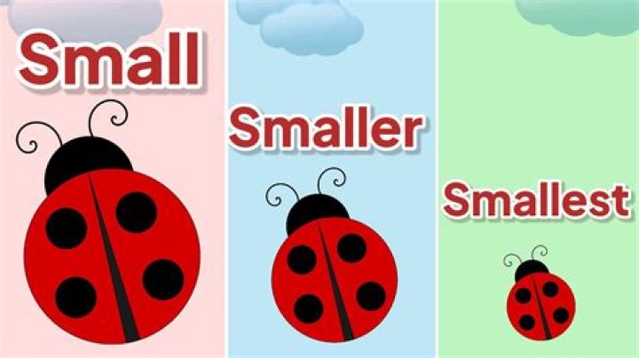What is smaller than a mile?