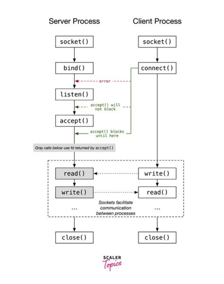What is socket address explain with Example comment on socket programming?