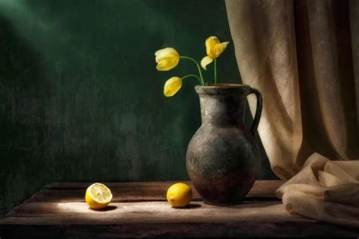 What is still life in art terms?
