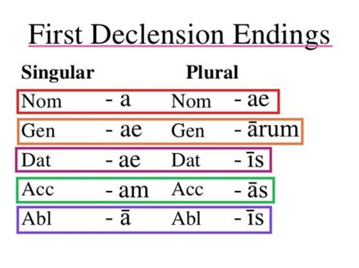 What is the 1st declension of Latin?