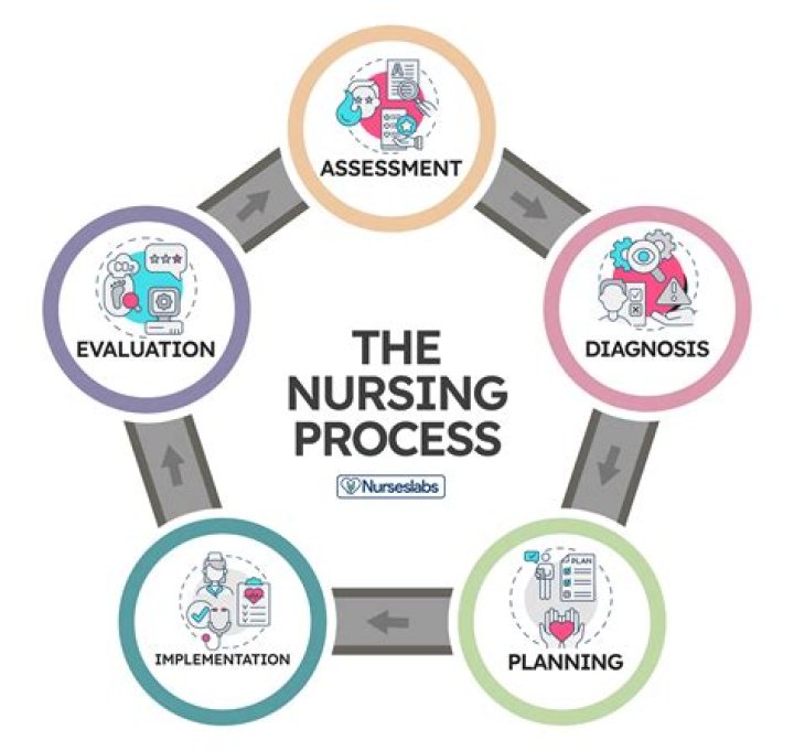 What is the best nursing app?