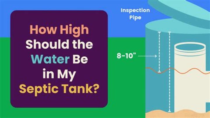 What is the best thing to put in a septic tank?