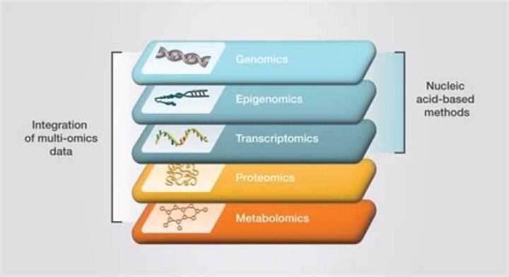 What is the difference between proteomics and metabolomics?