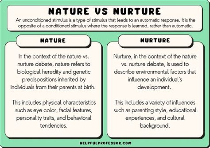 What is the nature and function of literature?