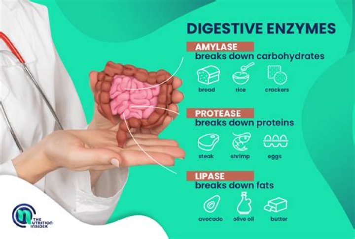 What is the nonprotein portion of an enzyme called?