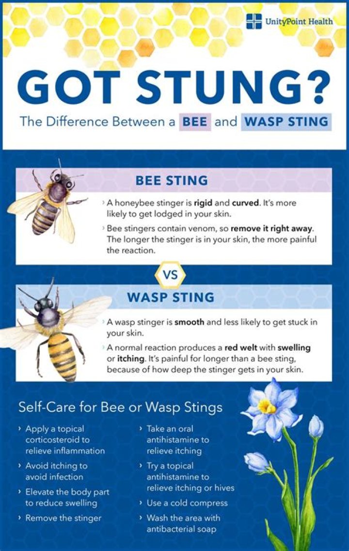 What is the pH of bee stings?