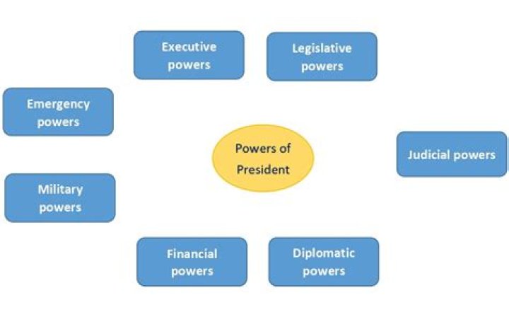 What is the power of the court to determine the constitutionality of a governmental action called?