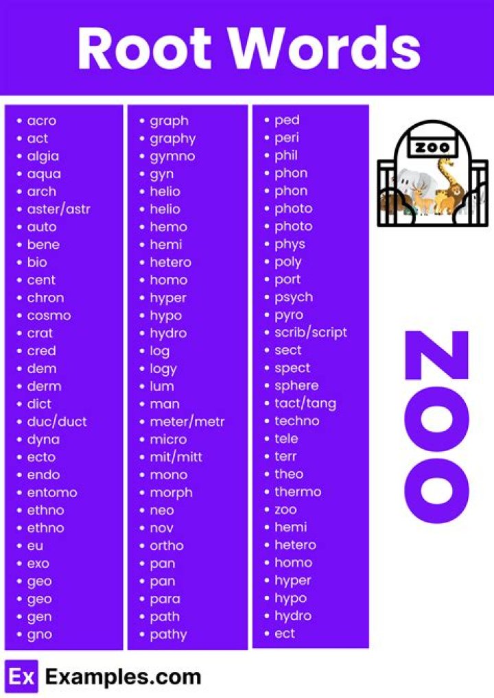 What is the root word for hepatitis?