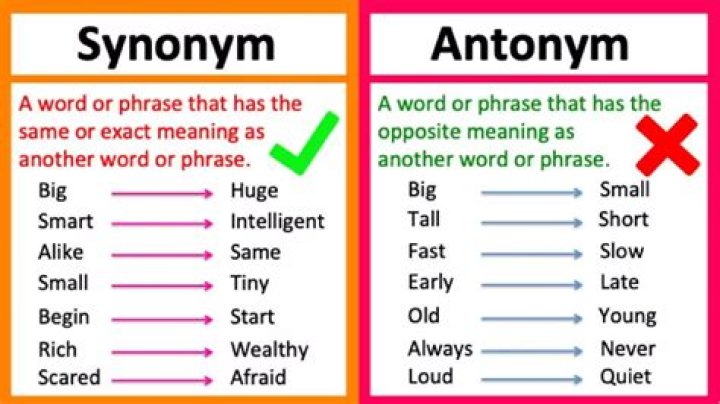 What is the synonym of estate?
