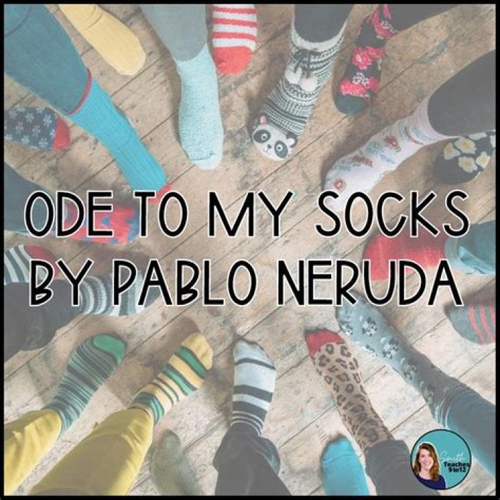 What is the theme of Ode to My Socks?