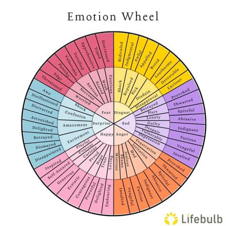What is the wheel of emotion?