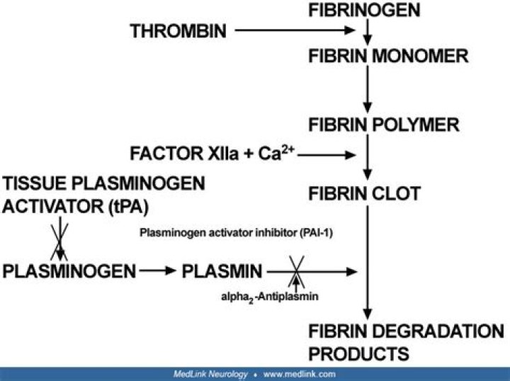 What is tissue plasminogen activator used for?