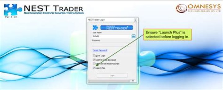 What is Zerodha nest trader?