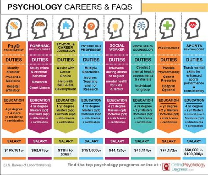 What other jobs can school psychologists do?