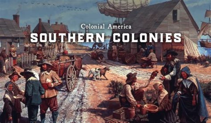 What role did Eliza Lucas play in the Southern colonies?