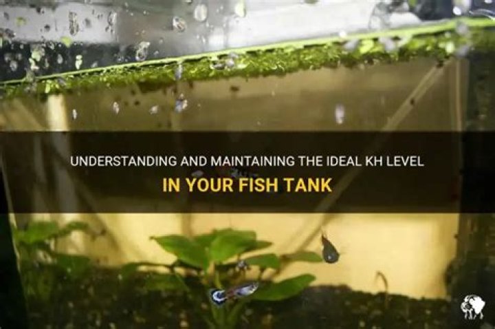 What should the KH level be in a fish tank?