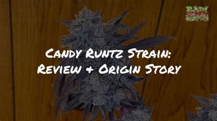 What strain is watermelon? | ContextResponse.com