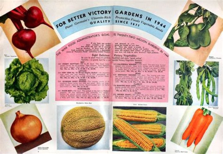 What was planted in a victory garden?