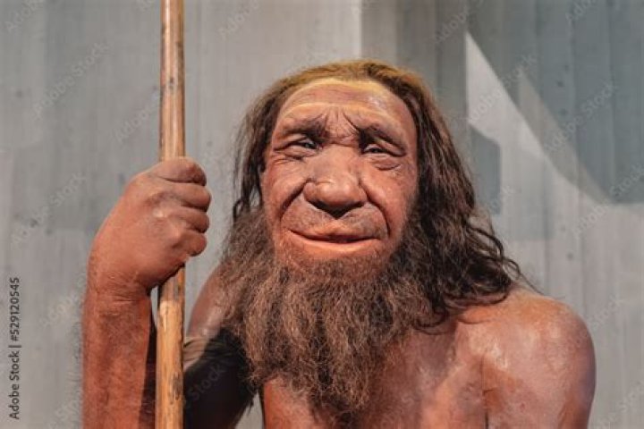 What was the average age of a caveman?